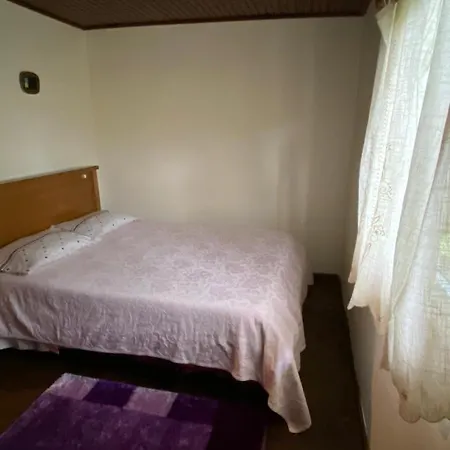 Holiday home Da Ribeirinha Carquere