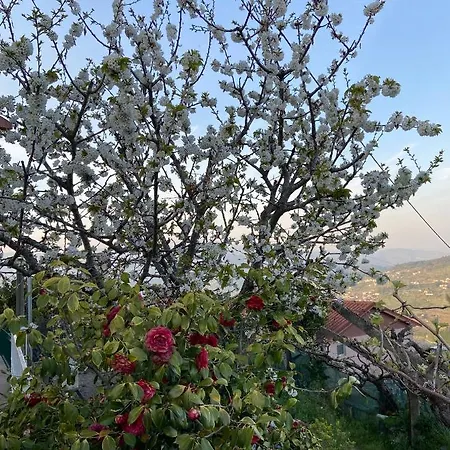 Da Ribeirinha Holiday home