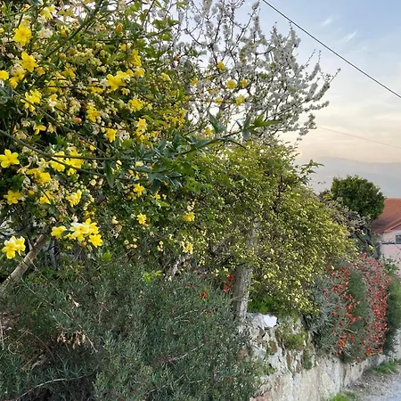 펜션 Da Ribeirinha Carquere