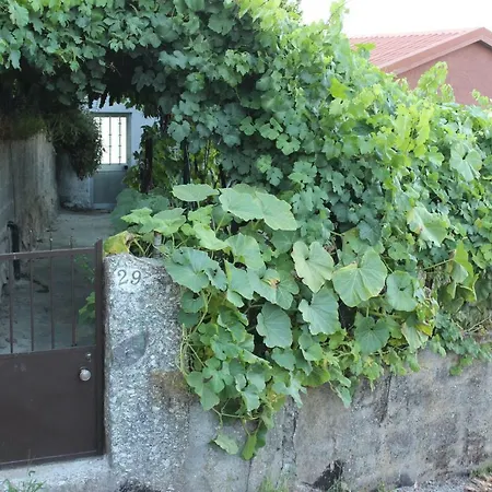 Da Ribeirinha Dom wakacyjny