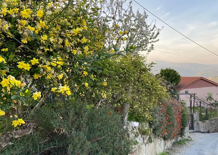 Tatil Evi Da Ribeirinha Carquere