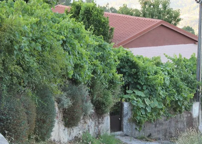 Vakantiehuis Da Ribeirinha Carquere