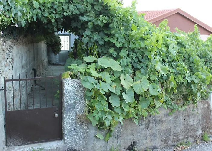 Da Ribeirinha Tatil Evi